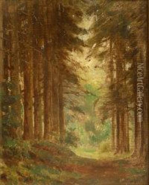 Woodland Oil Painting - Ernest Higgins Rigg