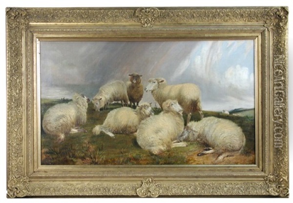 Study Of Sheep In A Coastal Landscape With A Coming Storm Oil Painting - Charles Jones