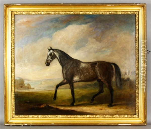 Portrait Of A Horse Oil Painting - John E. Ferneley