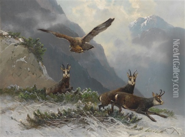 Gamsen Im Hochgebirge Oil Painting - Moritz Mueller the Elder