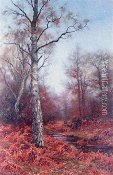 Autumnal Woodland Scene With Stag Oil Painting - Walter Boodle