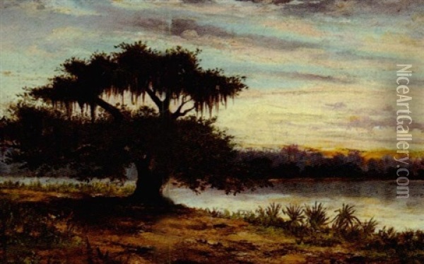 Oak Tree On The Bayou, At Dusk Oil Painting - Alphonse J. Gamotis