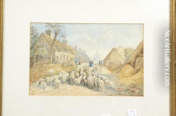 Driving The Sheep Oil Painting - James Barnes