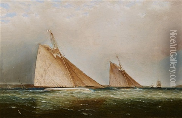 Cutters Leading The Fleet Through The Sound, N.y. Oil Painting - James Edward Buttersworth