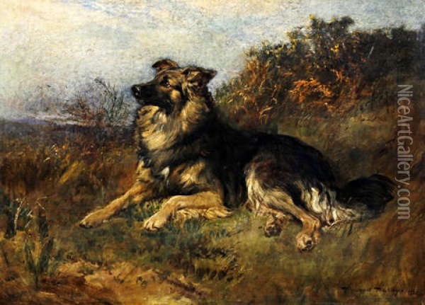 A Dog Seated On A Grassy Bank (a Collie?) Oil Painting - Heywood Hardy