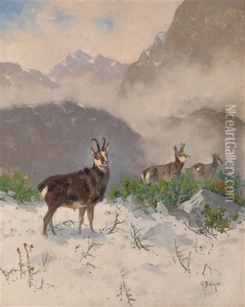 Gemsen In Alpenlandschaft Oil Painting - Georg Berger