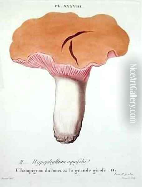 Hyprophyllum aquifolii Oil Painting - Fossier