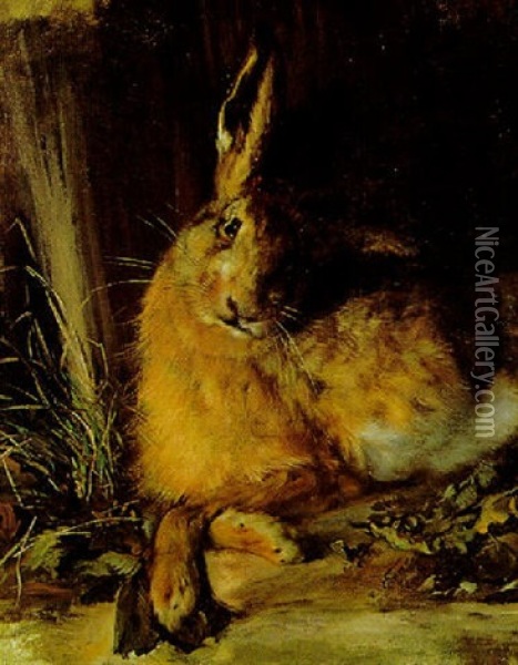 Hase Oil Painting - Rudolf Wimmer