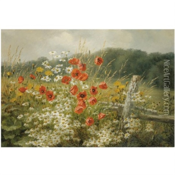 Poppies And Daisies Oil Painting - Anthonie Eleonore (Anthonore) Christensen