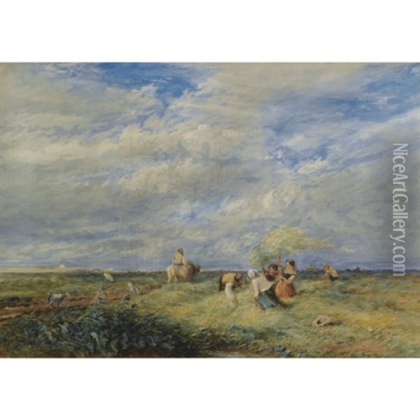 The Hayfield Oil Painting - David Cox the Elder