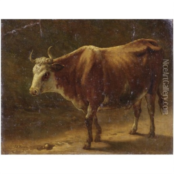 Toro Oil Painting - Jacques Raymond Brascassat
