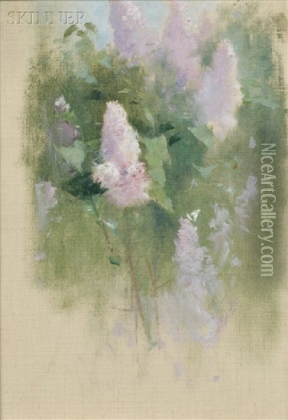 Study Of Lilacs In Bloom Oil Painting - Emil Carlsen