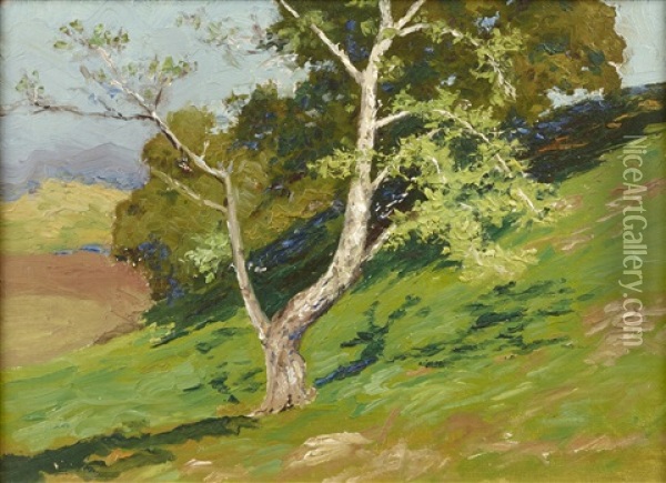 Mt. Taylor From Bartholf Park (estes Park); Haystacks; Tree On Mountainside (3 Works) Oil Painting - Charles Partridge Adams