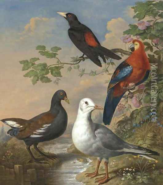 A Moorhen, A Gull, A Scarlet Macaw And Red-Rumped A Cacique By A Stream In A Landscape Oil Painting - Philip Reinagle