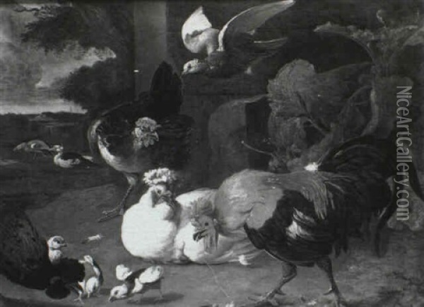 An Assembly Of Fowl Oil Painting - Melchior de Hondecoeter