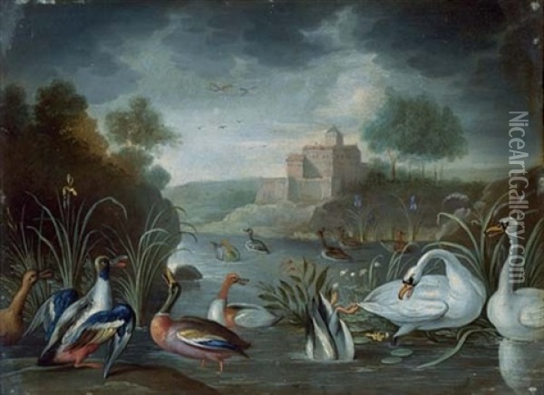 Canards Et Cygnes Dans Un Lac A Fond De Chateau Oil Painting - Jan van Kessel the Elder
