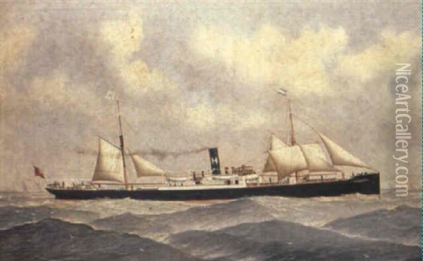 The Steamer Chelydra Off The Coast Oil Painting - John Henry Mohrmann