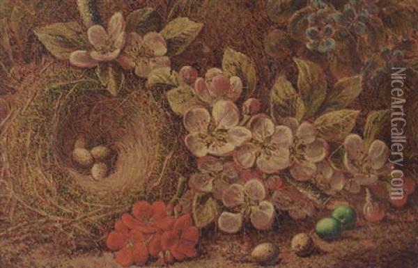 Apple Blossom And A Bird's Nest With Eggs, On A Mossy Bank Oil Painting - Oliver Clare