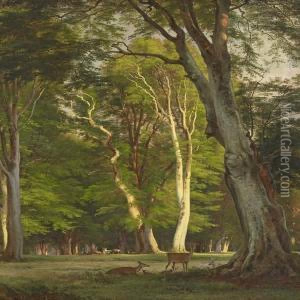 Deer In Thedyrehaven Oil Painting - Adolf Henrik Mackeprang