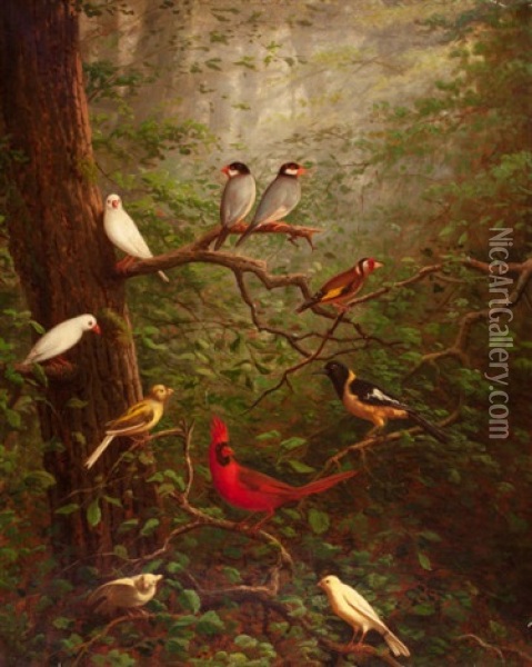 Woodland Birds Oil Painting - Charles Cole Markham