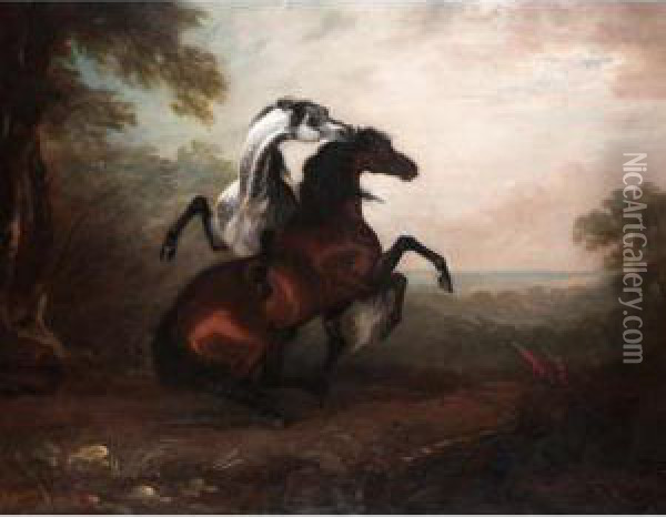 Two Stallions Fighting Oil Painting - Sawrey Gilpin