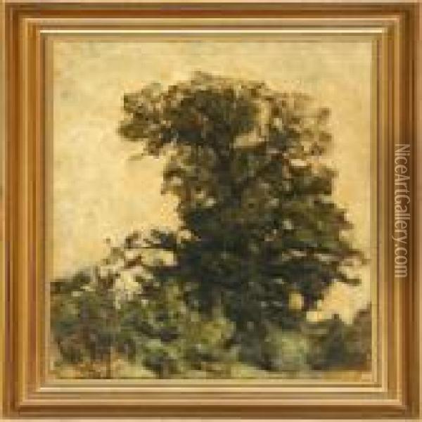 Study Of Treetops Oil Painting - Svend Hammershoi