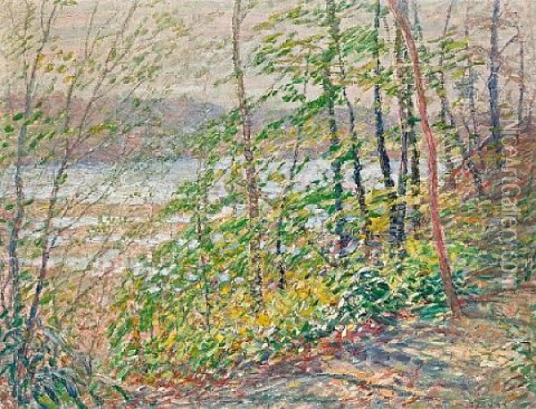 The Spring Woods By The Connecticut River Oil Painting - George Brainard Burr