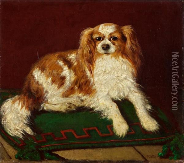 King-charles-spaniel Oil Painting - Hermann Looschen