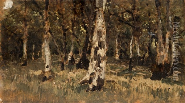 Forest Oil Painting - Bela Von Spanyi