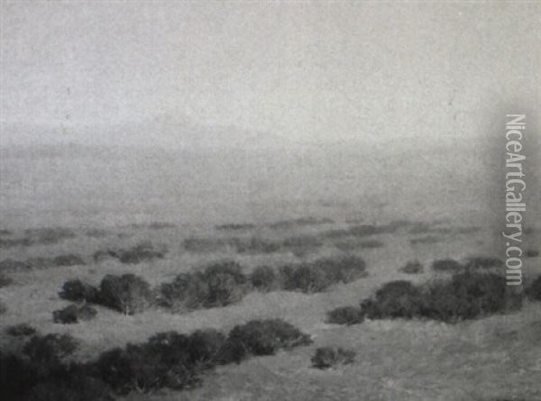 Desert View, Arizona Oil Painting - Bertha Menzler Peyton