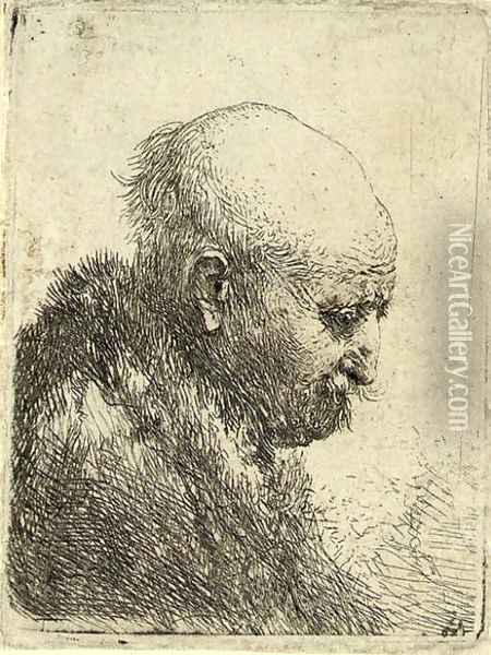 A bald-headed Man in Profile right Oil Painting - Rembrandt Van Rijn