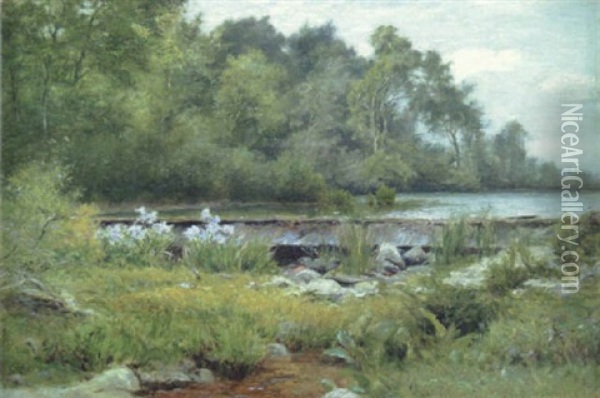 Rocky Stream Oil Painting - Albert Babb Insley