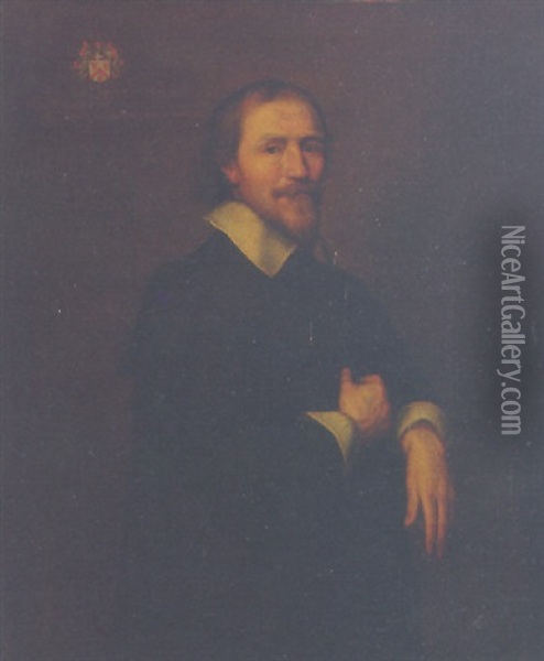 Portrait Of A Gentleman In A Black Coat And White Shirt Oil Painting - Cornelis Jonson Van Ceulen