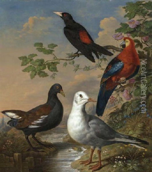 A Moorhen, A Gull, A Scarlet Macaw And A Red-rumped Cacique By A Stream In A Landscape Oil Painting - Philipp Reinagle