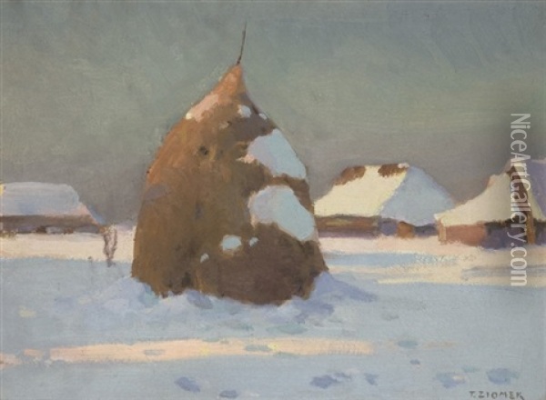 In Winter Sunshine Oil Painting - Teodor Ziomek