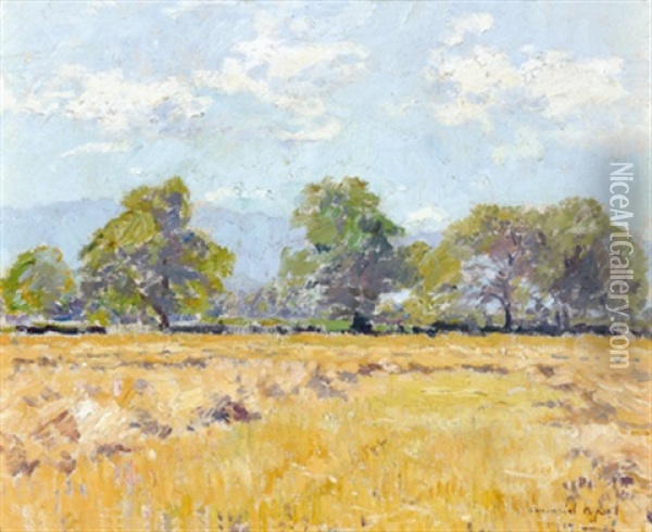 Kornfeld Im Sommer Oil Painting - Armand Adrien Marie Apol