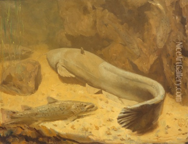 A Catfish And Pike Oil Painting - Gerrit Willem Dijsselhof