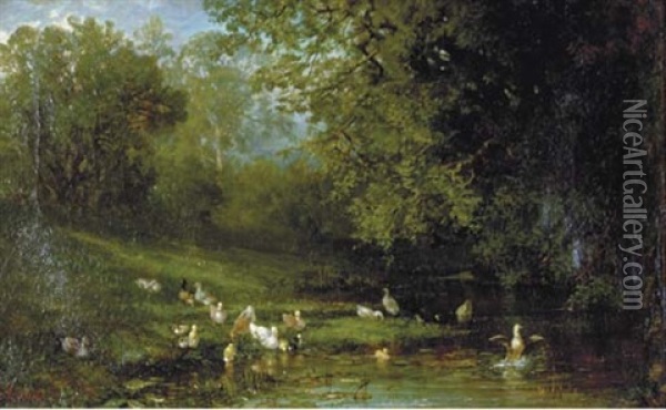 Ducks And Ducklings By A Pond Oil Painting - Frederick Rondel