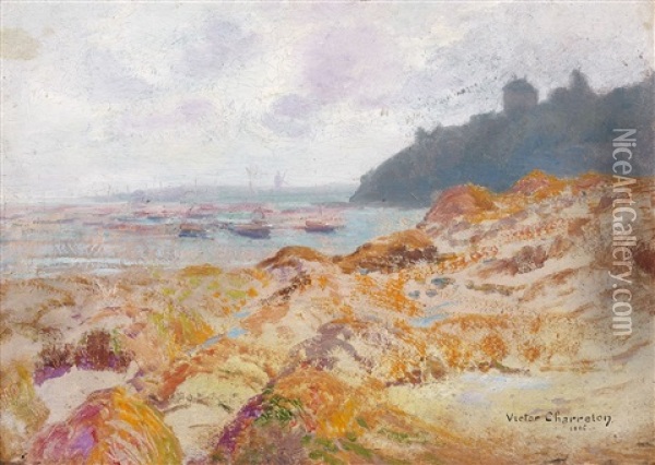 Paysage De Bord De Mer Oil Painting - Victor Charreton