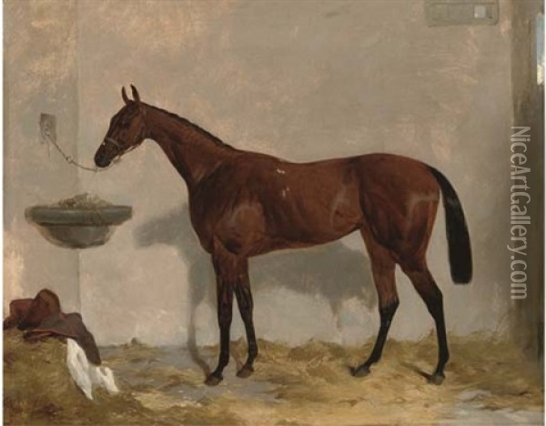 A Tethered Bay Mare In Her Stable Oil Painting - Harry Hall
