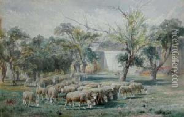 Sheep Grazing In A Field Oil Painting - Peter Moran