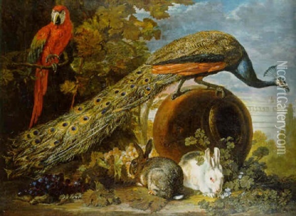 A Peacock On An Overturned Urn, A Parrot In A Tree And Rabbits And Bunches Of Grapes In A Garden Oil Painting - David de Coninck