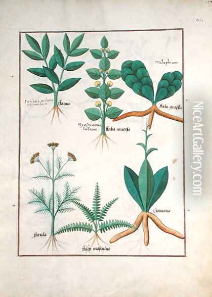 Ferns and Shrubs, Illustration from the Book of Simple Medicines by Mattheaus Platearius d.c.1161 c.1470 Oil Painting - Robinet Testard