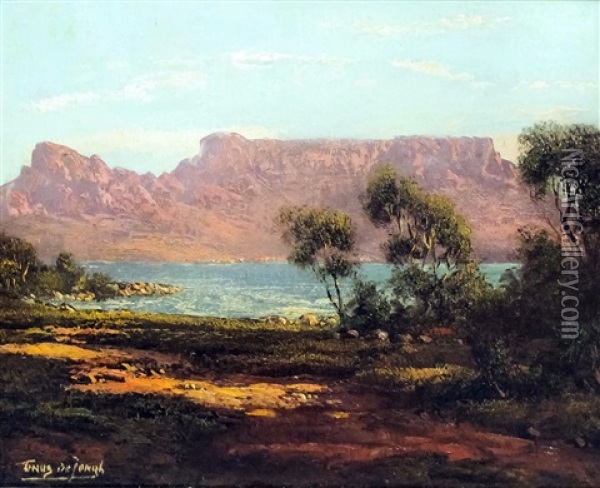 View Of Table Mountain Oil Painting - Tinus de Jongh