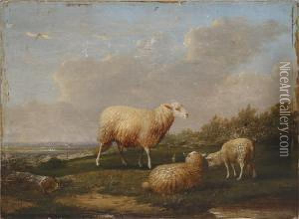 Sheep Scene Oil Painting - Francois Vandeverdonck