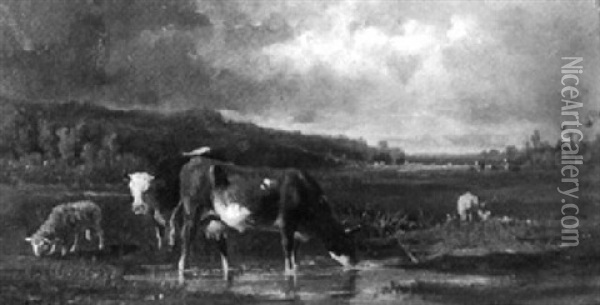 Kuhe Und Schafe An Der Wasserstelle Oil Painting - Antonio Cortes Cordero