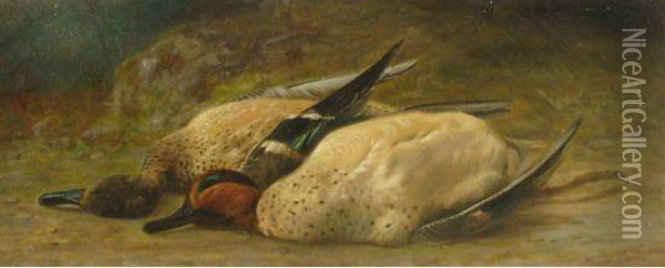 Deux Canards Oil Painting - Thomas Mower Martin