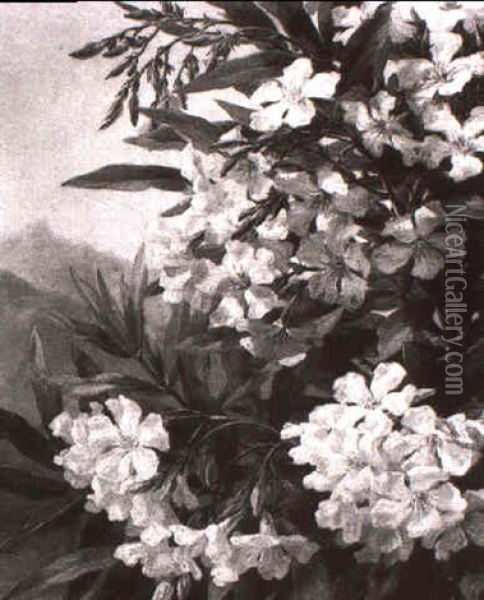 Oleander In Einer Gebirgslandschaft Oil Painting - Anthonie Eleonore (Anthonore) Christensen