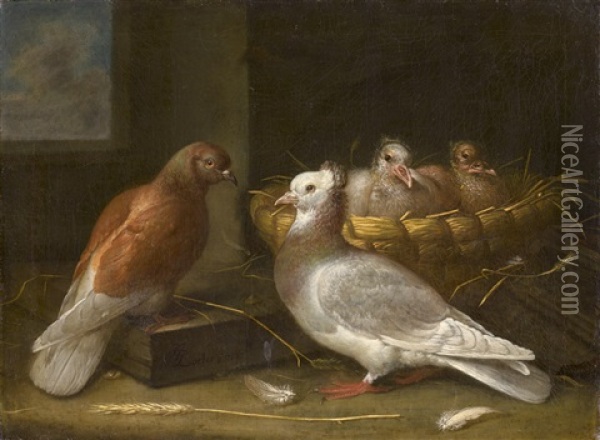 Ein Taubenpaar Mit Zwei Kuken In Ihrem Nest In Einem Weidenkorb Oil Painting - Johann Gottlied Friedrich