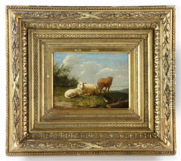 Sheep Oil Painting - Rosa Bonheur